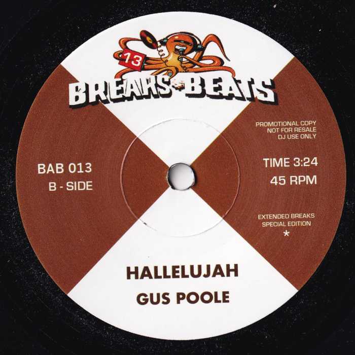 Captain Sky /Gus Poole / Super Sporm /Hallelujah | Hip Hop／R&B