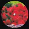 DJ Dibba, Chris Kelly / Sally B Up(Black)
