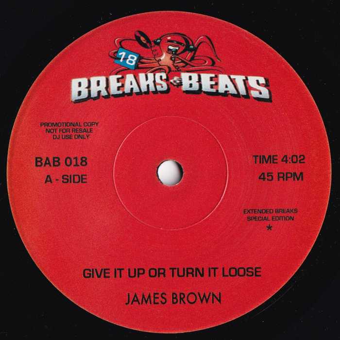 James Brown / Duralcha / Give It Up Or Turn It Loose��Small Hole��