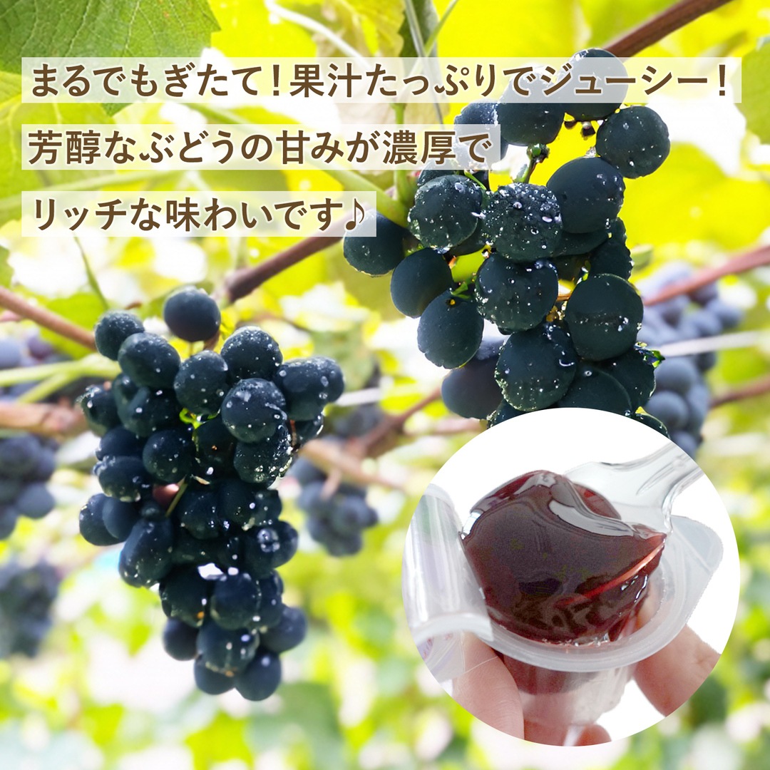 果汁100％ ぶどうゼリー