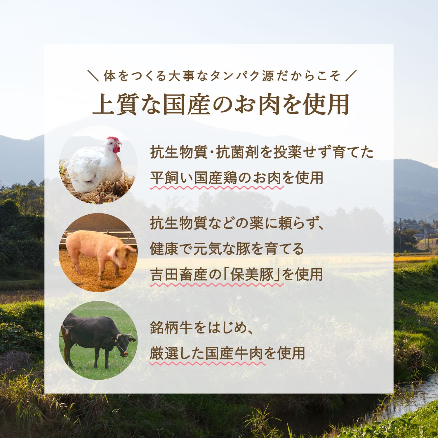 【パスタソース】国産牛の贅沢ミートソース(1歳半頃から)