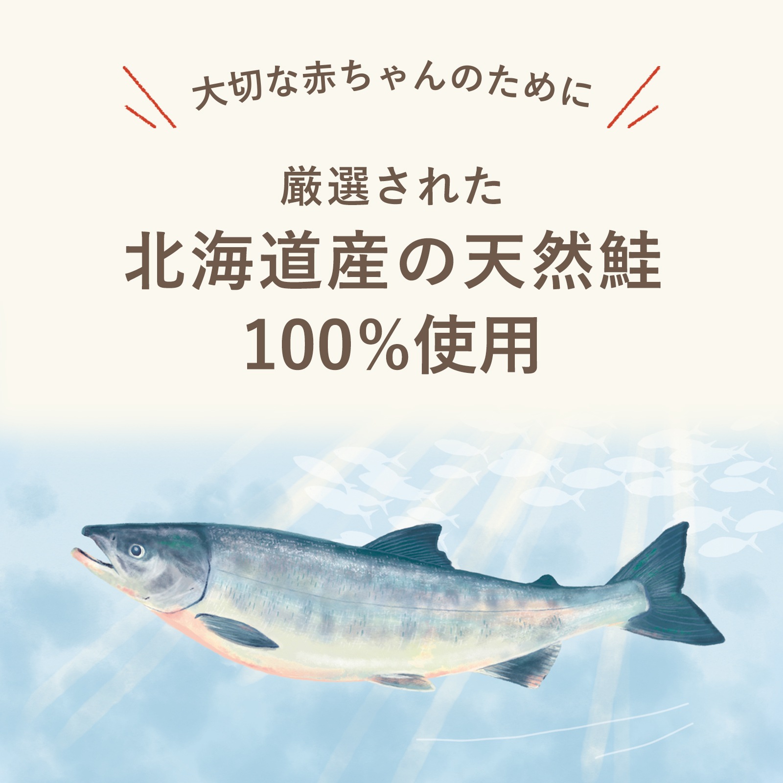 北海道産の天然鮭フレーク