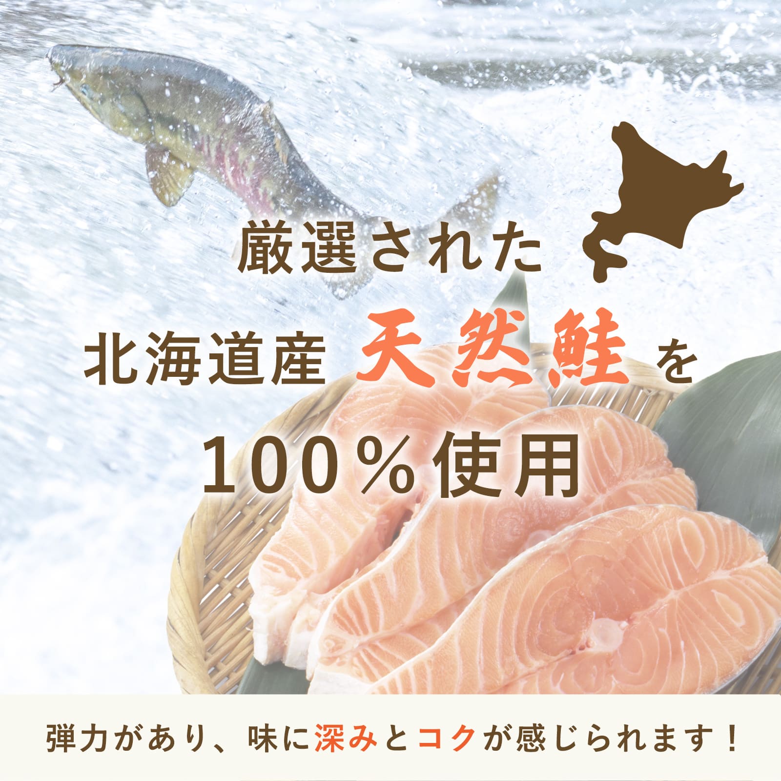 北海道産 天然鮭フレーク(瓶)