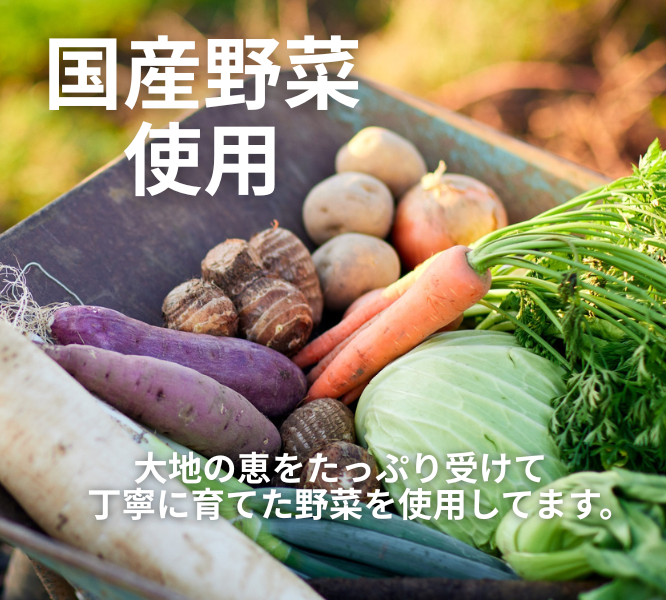 ゴロッと具だくさん平飼い国産鶏のクリームシチュー(2歳頃から)