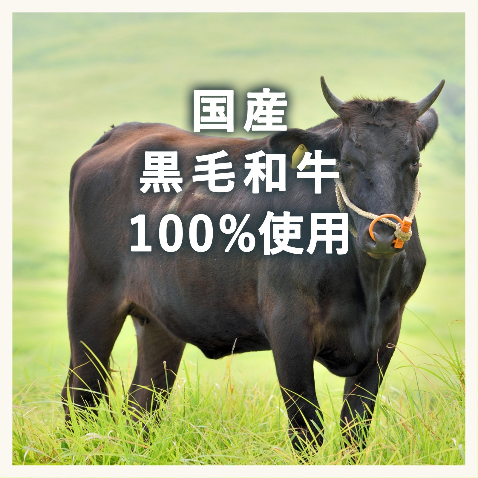 国産黒毛和牛のお子さま肉じゃが(2歳頃から)