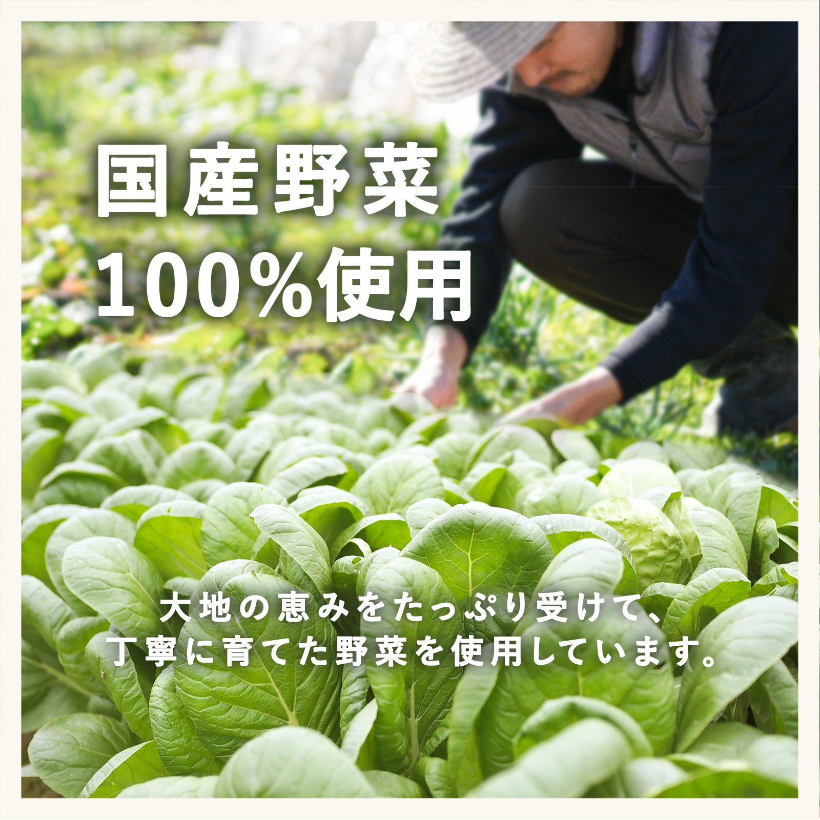 国産黒毛和牛のお子さま肉じゃが(2歳頃から)