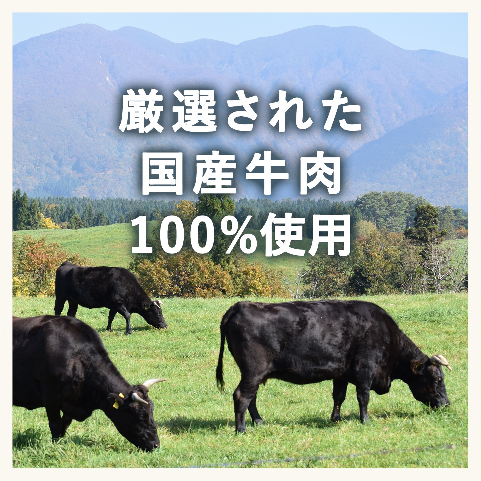 国産牛のトマト煮込みハンバーグ(3歳頃から)