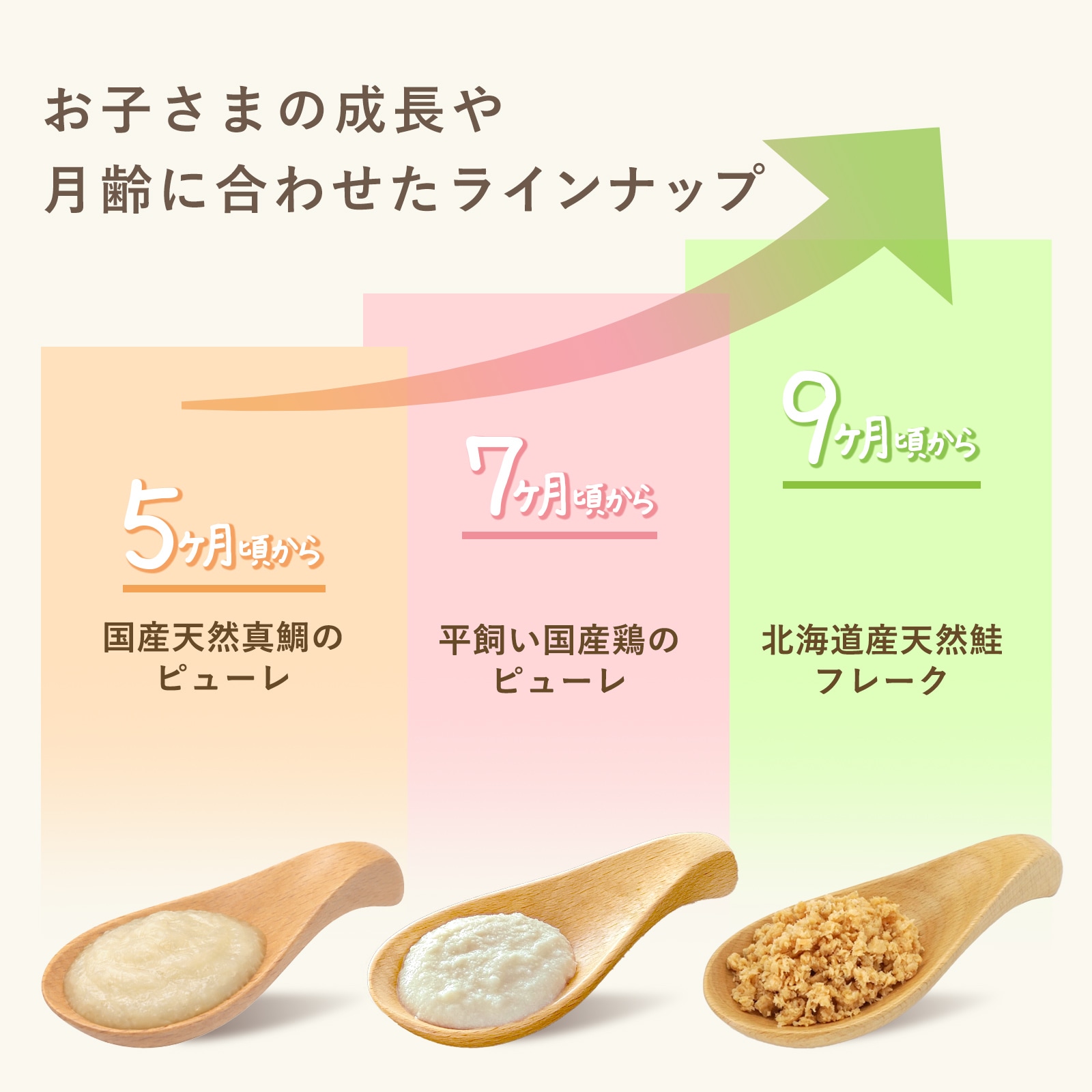 はじめての国産天然真鯛のピューレ