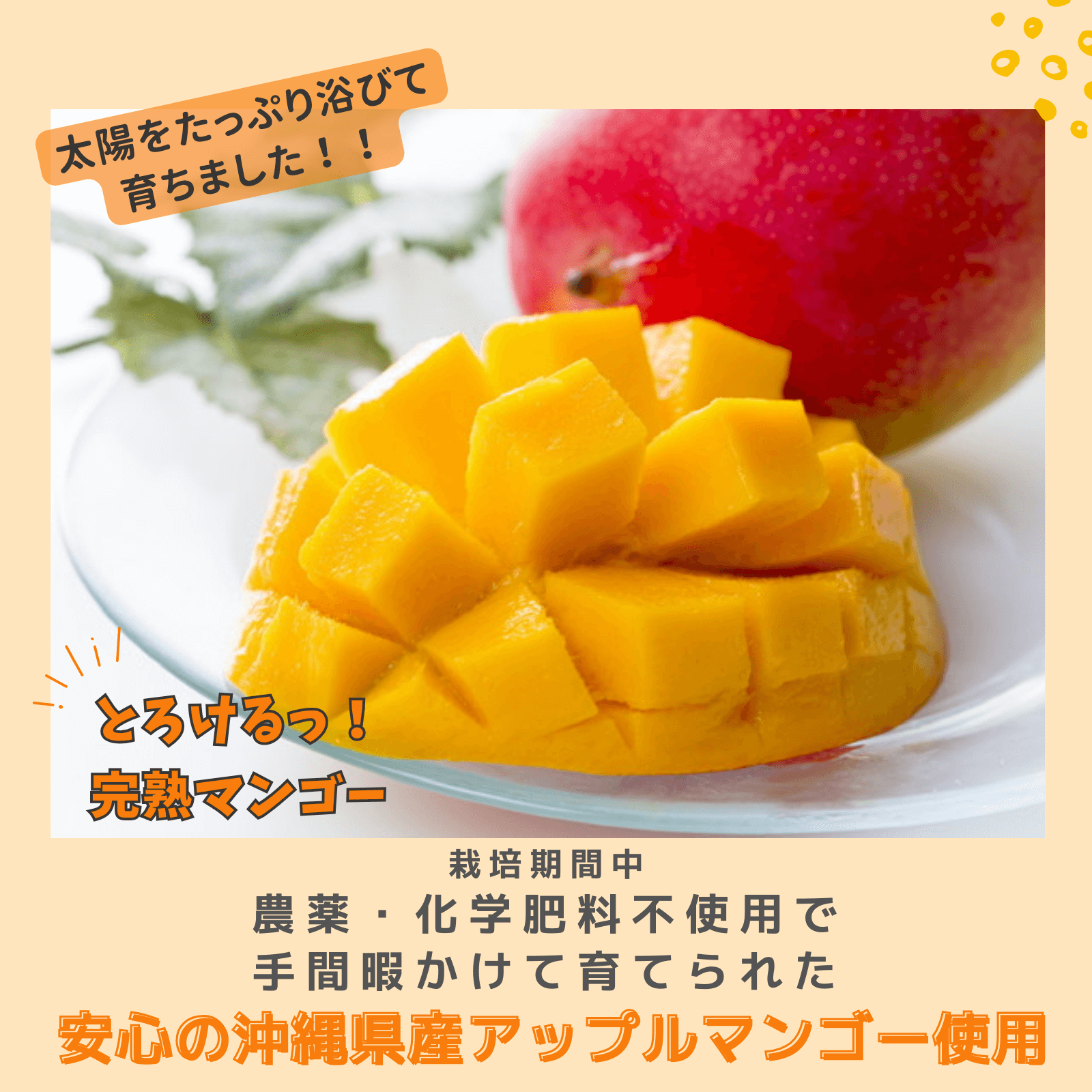 マンゴー様専用 yoyo様専用 マンゴー