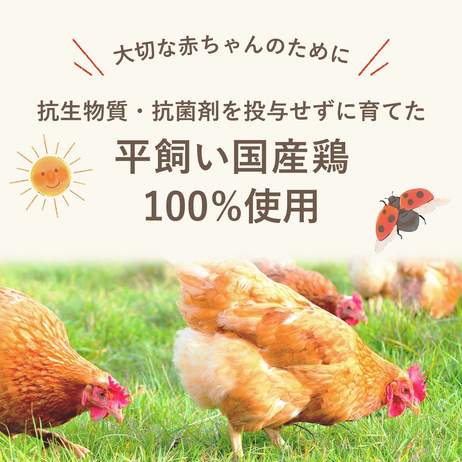 平飼い国産鶏のフレーク