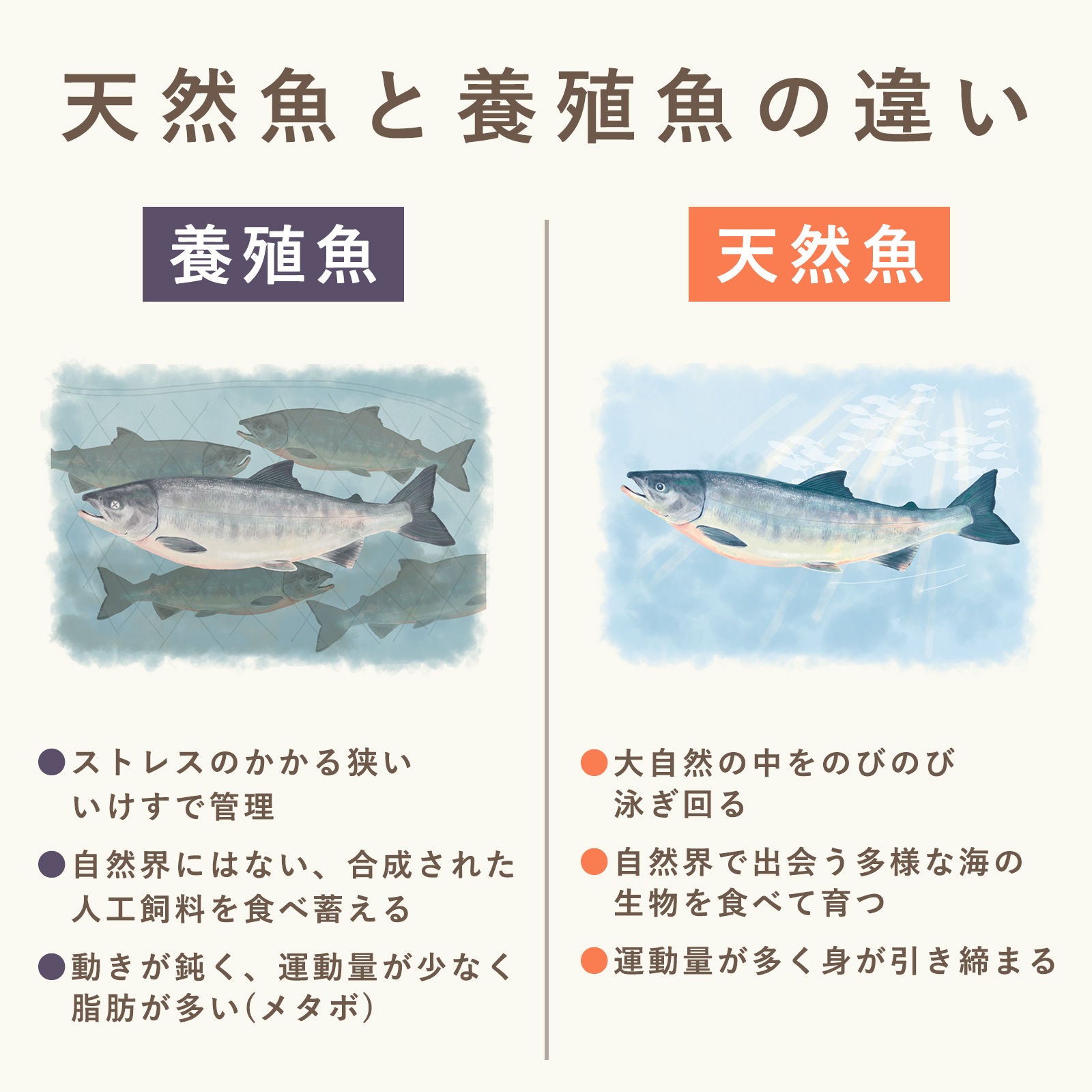 【送料無料】白身魚のおかず2種(8個セット)