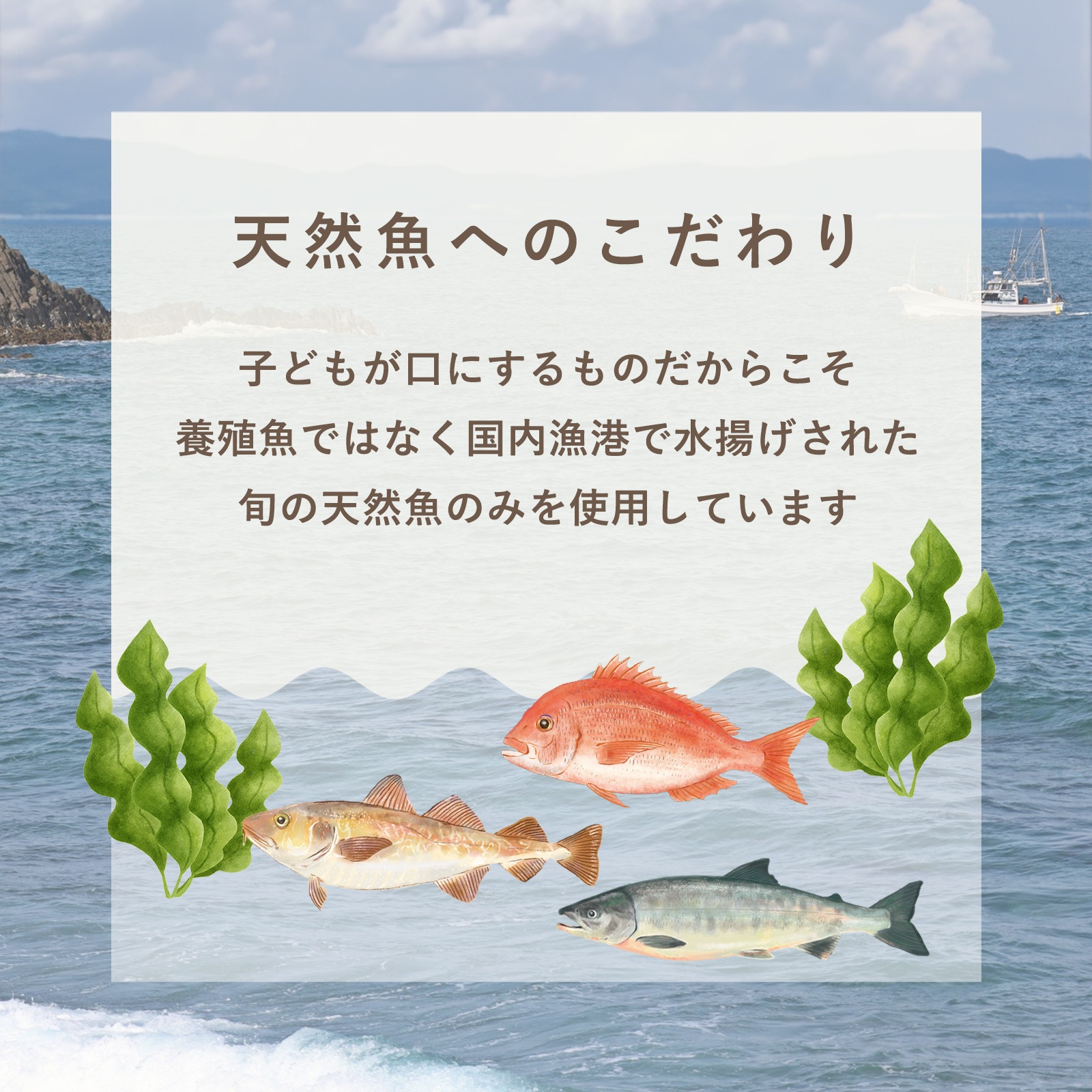 【送料無料】白身魚のおかず2種(8個セット)