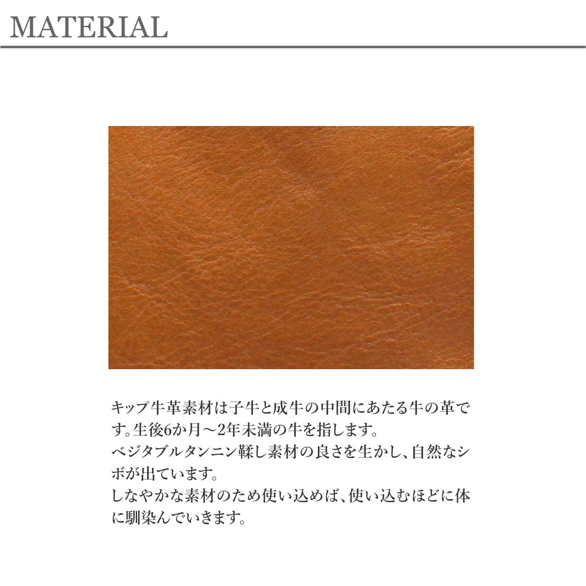 COMPLETE PLUS コンプリートプラス ベーシック 牛革 ショルダーバッグ (910-cp-0m103)