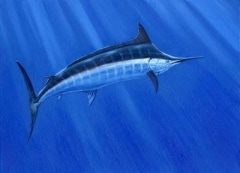 ���椻�Ĥ����ߥ��ǲ�ӥå������ॷ�꡼�����֥֥롼�ޡ����ס���ȥ����