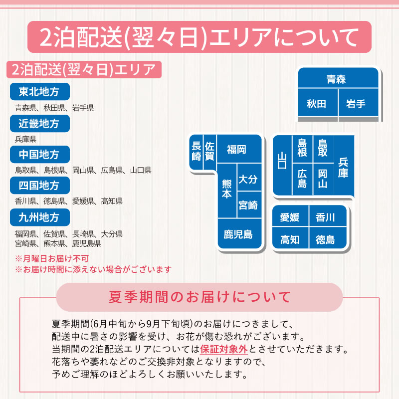 胡蝶蘭 3本立 5本立 7本立 大輪 30,000円(税別)(40~45輪) 平日12時まで翌日お届け可能【海老名洋蘭園 お祝い 花 胡蝶蘭 ギフト 開店 開院 開業 移転 お供え 贈り物 還暦 喜寿 傘寿 卒寿 百寿 御供 受章 お歳暮】【ko】【ya】【3up】