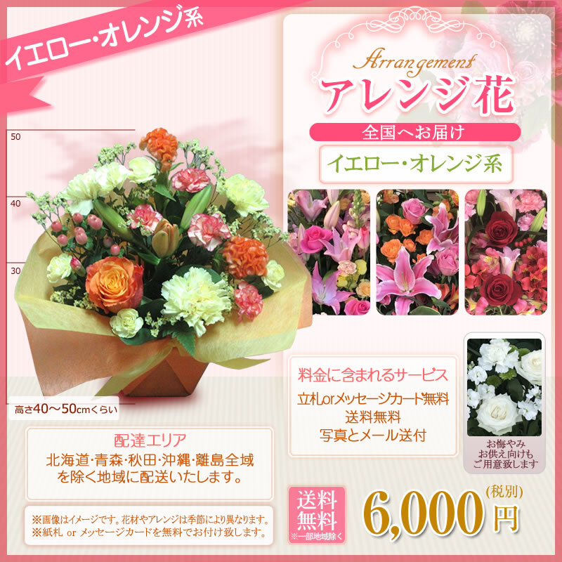 フラワーアレンジメント アレンジ花(S)色指定 6000円(税別) 高さ40cm位【海老名洋蘭園 お祝い 花 ギフト 生花 誕生日 還暦 米寿 開店 移転 開院 お供え 式典 公演 オープン 結婚式 披露宴 会場装花 ライブ お彼岸】【flw-6000】