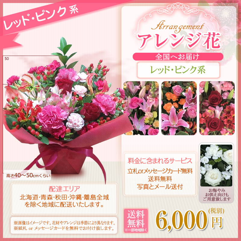 フラワーアレンジメント アレンジ花(S)色指定 6000円(税別) 高さ40cm位【海老名洋蘭園 お祝い 花 ギフト 生花 誕生日 還暦 米寿 開店 移転 開院 お供え 式典 公演 オープン 結婚式 披露宴 会場装花 ライブ お彼岸】【flw-6000】