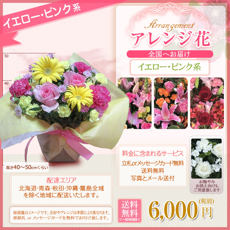 フラワーアレンジメント アレンジ花(S)色指定 6000円(税別) 高さ40cm位【海老名洋蘭園 お祝い 花 ギフト 生花 誕生日 還暦 米寿 開店 移転 開院 お供え 式典 公演 オープン 結婚式 披露宴 会場装花 ライブ お彼岸】【flw-6000】