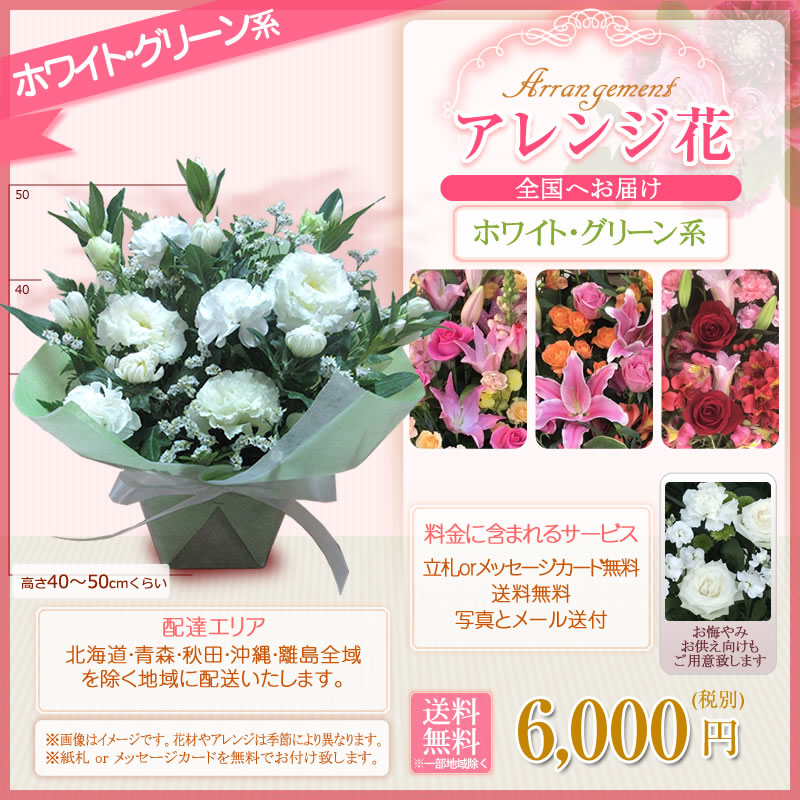 フラワーアレンジメント アレンジ花(S)色指定 6000円(税別) 高さ40cm位【海老名洋蘭園 お祝い 花 ギフト 生花 誕生日 還暦 米寿 開店 移転 開院 お供え 式典 公演 オープン 結婚式 披露宴 会場装花 ライブ お彼岸】【flw-6000】