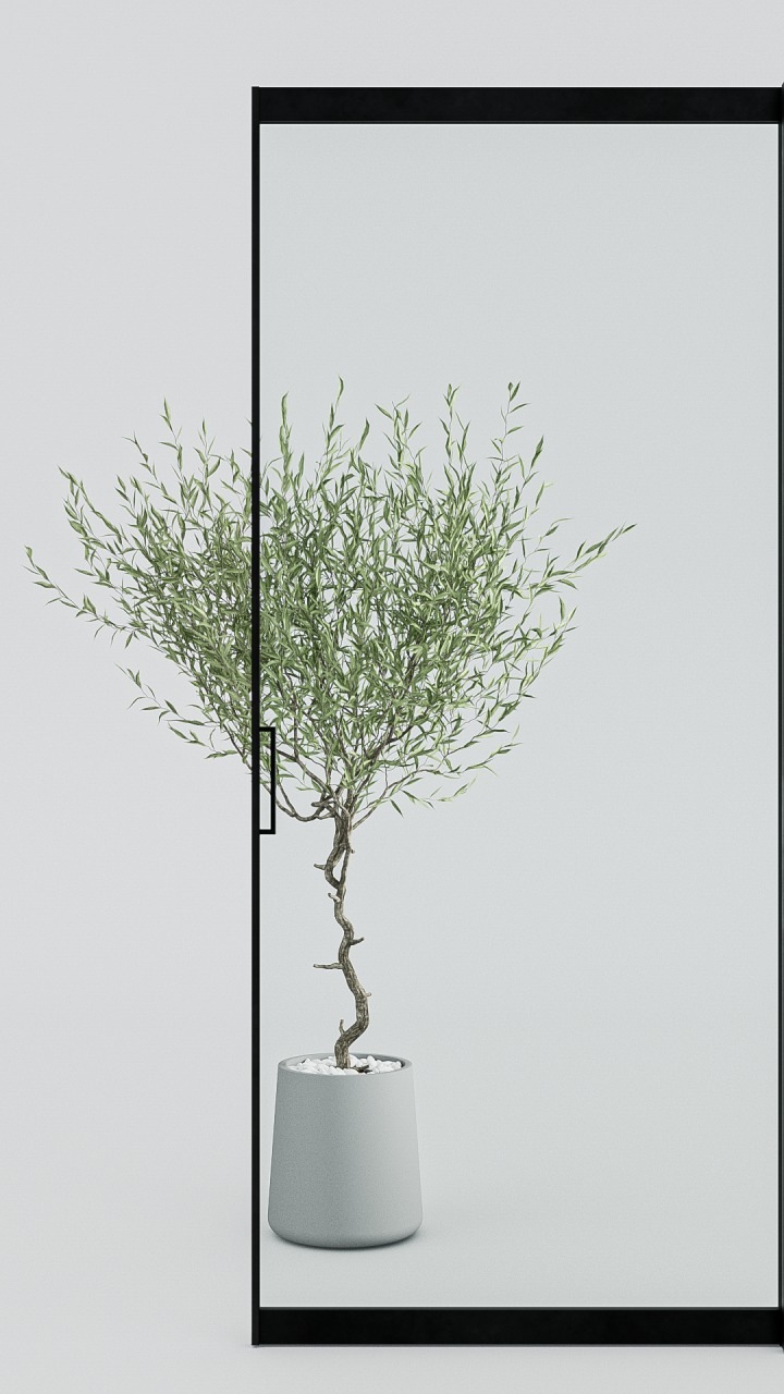 アプリーレ ガラス扉 2枚引違い 特寸L W1646-1986/H2100-2500