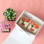 �ƥ����������� KS �����ӥ�Ȣ #6 100��