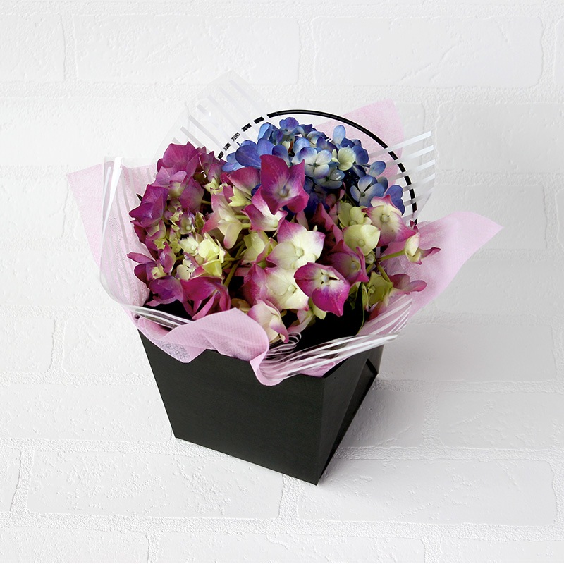 ��SALE�ۥ���եȥܥå��� �ǥ�ᥤ��TK125 ��ܥå����Τ� �֥�å� �ƥ����������� 20��