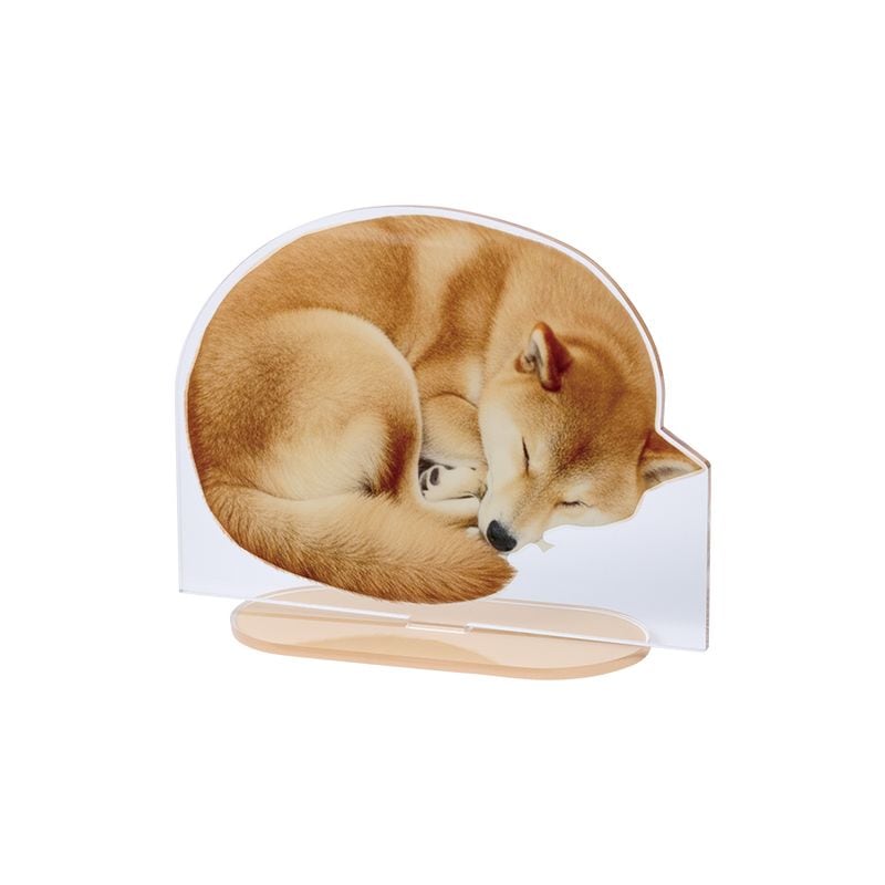 ������륹����ɥ磻��134��100mm