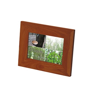 ��С����åɥե��ȥ�����ɡʥ֥饦���