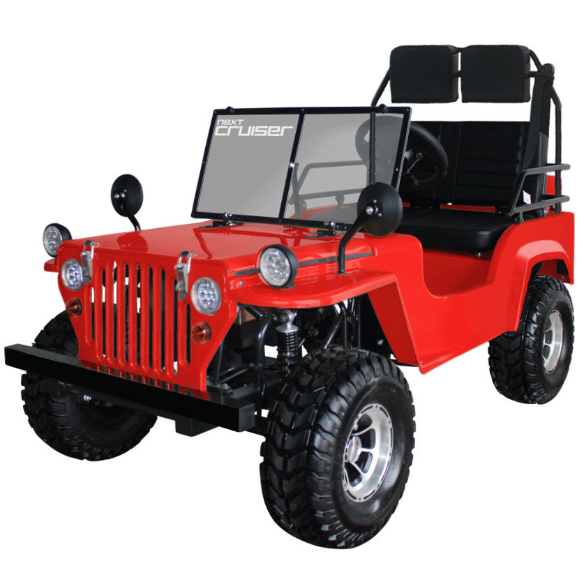 値下げ　ネクストクルーザー　ネクストクルーザーEVモデル　オプションの大型ラック、シートカバー付き　ブレイズ　BLAZE　一部写真を加工してます 000000000172_mzgnYST.png