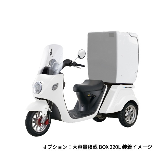 ���ڥߥ˥�����Ͽ��ǥ��EV�ǥ�Х꡼(�롼�ե쥹������)