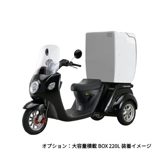 ���ڥߥ˥�����Ͽ��ǥ��EV�ǥ�Х꡼(�롼�ե쥹������)