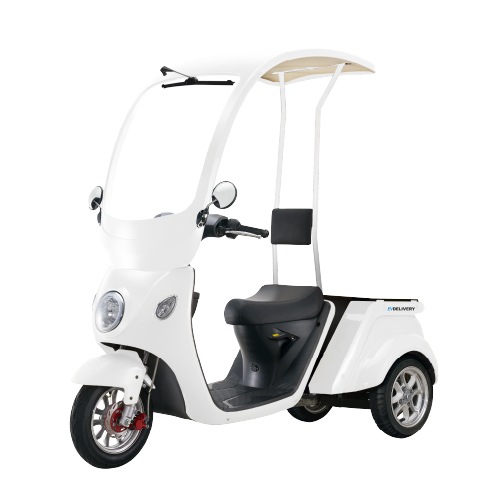 ���ڥߥ˥�����Ͽ��ǥ��EV�ǥ�Х꡼(�롼�����奿����)