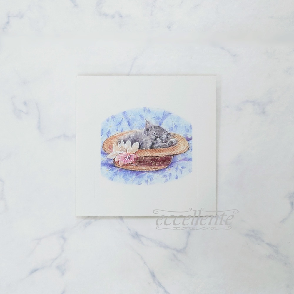 BB-G052ST イタリア製 グリーティングカード ネコと帽子  Greeting card Kitten and hat