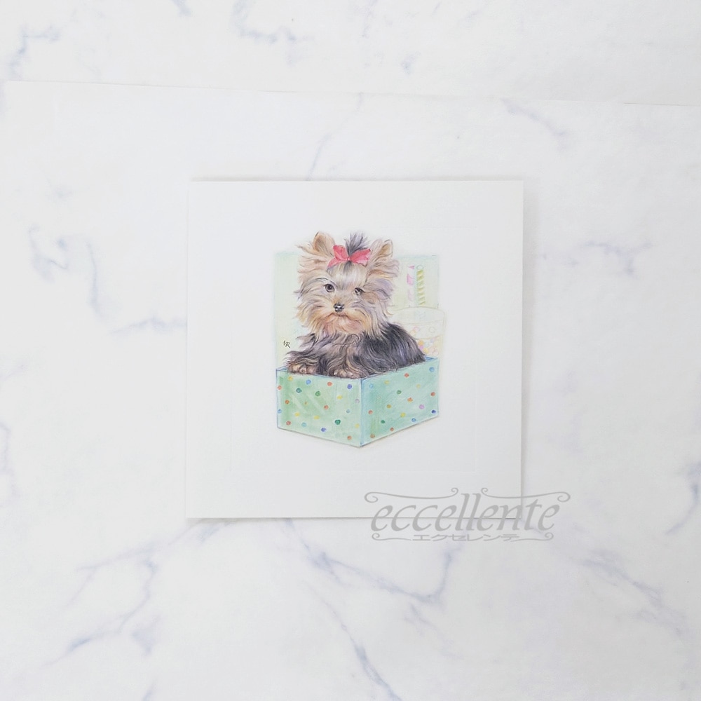 BB-G055ST イタリア製 グリーティングカード イヌとボックス  Greeting card Puppy and box