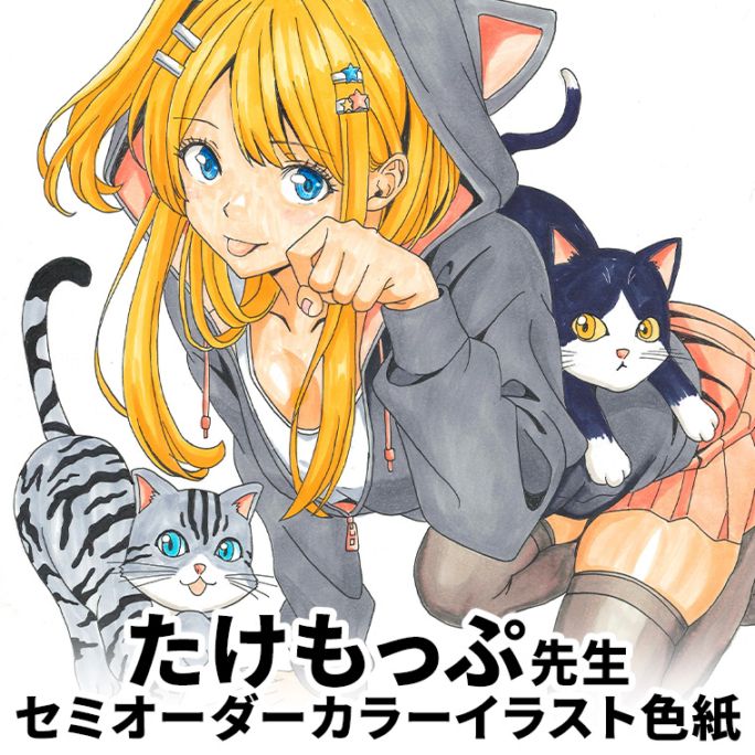 たけもっぷ先生　セミオーダーカラーイラスト色紙