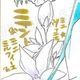 【限定1枚 ★サイレントオークション★4/28 12:00～5/11 23:59まで！】かなん先生　完成品カラーイラスト色紙106『ギャラクシーエンジェル』ミント＆ミニミルフィーユ＆ミニヴァニラ（干支《午年》オプション）
