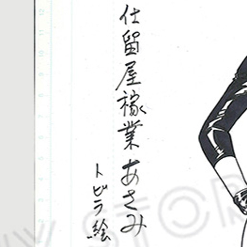 【限定1枚】叶精作先生　原画325『仕留屋稼業・あさみ』イラスト47（トビラ絵）【生原画】