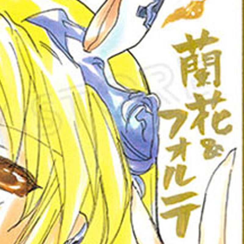 【限定1枚 ★サイレントオークション★4/28 12:00～5/11 23:59まで！】かなん先生　完成品カラーイラスト色紙107『ギャラクシーエンジェル』蘭花＆フォルテ（干支《午年》オプション）
