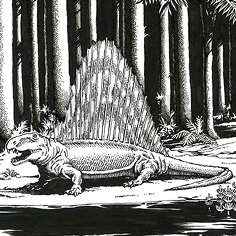 【サイレントオークション★11/6 12:00～！】岸大武郎先生　原画1『ディメトロドン』