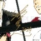 【サイレントオークション★4/26 15:00～！】【限定1枚】坂口いく　完成品カラーイラスト色紙「闇狩人」3