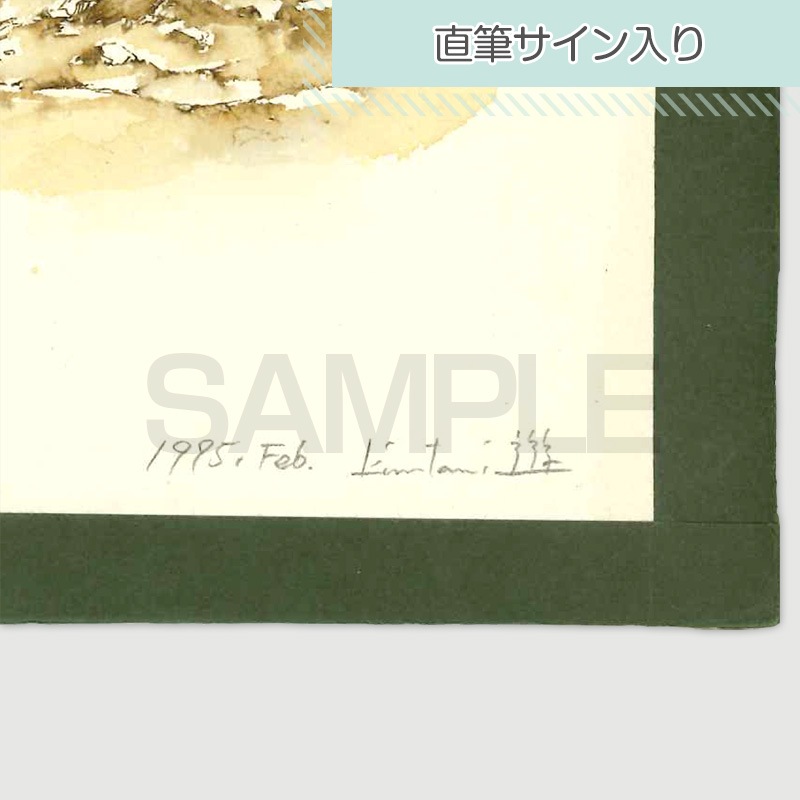 【サイレントオークション★3/4 12:00～！】【限定1枚】衣谷遊先生　生原画1／『ラッキー・ラクーン』1巻　表紙用イラスト