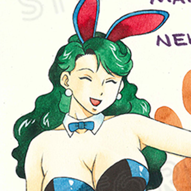 【限定1枚 ★サイレントオークション★12/26 18:00～1/8 23:59まで！】新名あき先生　完成品カラーイラスト色紙3『またたび荘は猫屋敷』