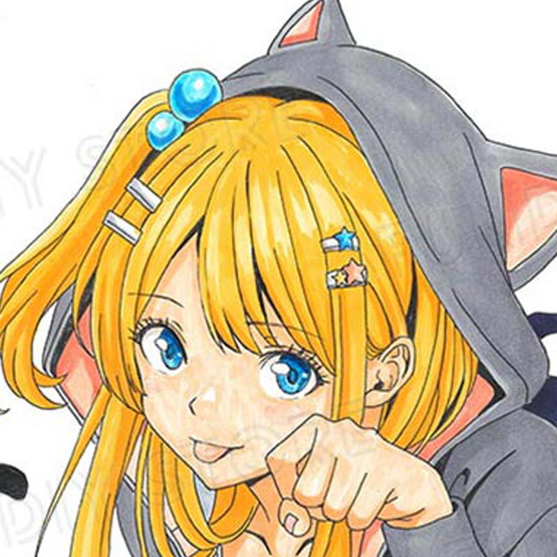 たけもっぷ先生　完成品カラーイラスト色紙2『マジマンGET』猫とスミカ