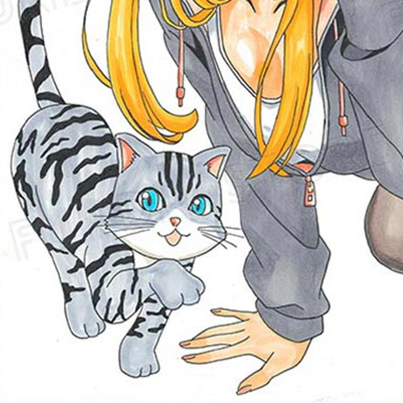 たけもっぷ先生　完成品カラーイラスト色紙2『マジマンGET』猫とスミカ