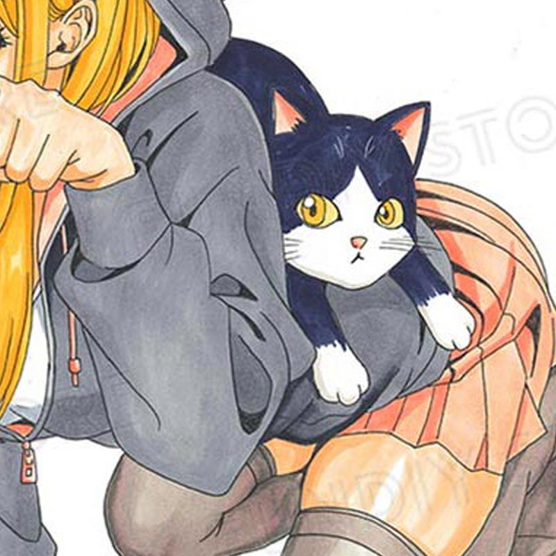 たけもっぷ先生　完成品カラーイラスト色紙2『マジマンGET』猫とスミカ