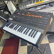 中古新入荷商品 | えちごやミュージック