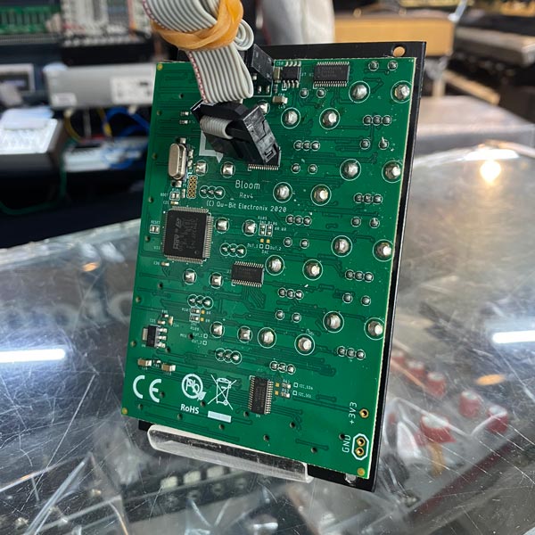 Qu-bit Electronix Bloom | 中古新入荷商品 | | えちごやミュージック
