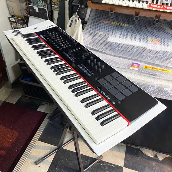 NEKTAR PANORAMA P6 | 中古新入荷商品 | | えちごやミュージック