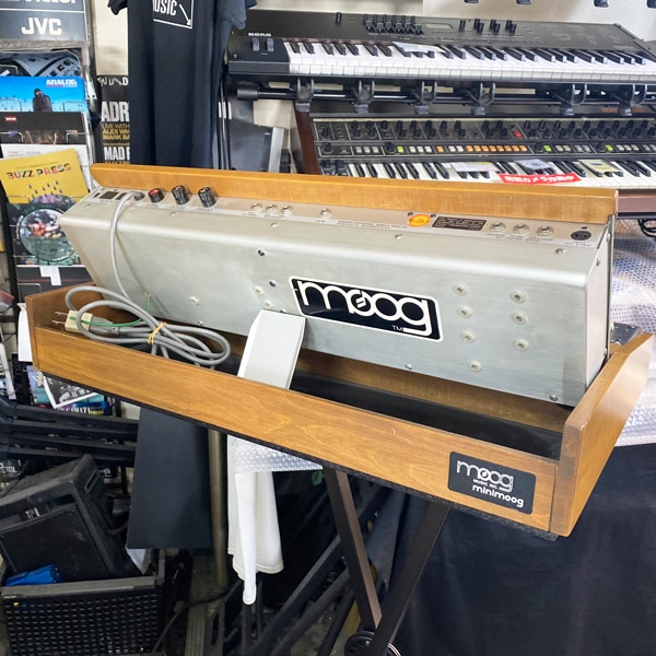 MOOG minimoog Model D | 中古新入荷商品 | | えちごやミュージック