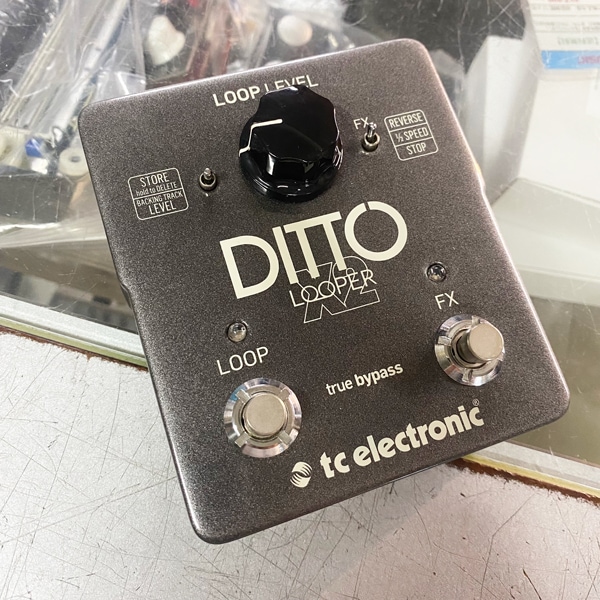 tc electronic Ditto X2 Looper | 中古新入荷商品 | | えちごや